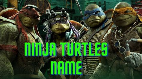 ninja turtles names and colors|ninja turtle names and meanings.